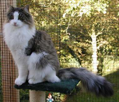 copyright: Anke & Stefan Giehr