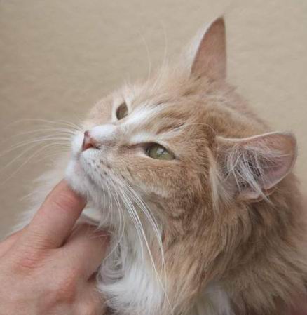 copyright: Rene Weissbach