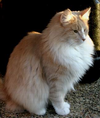 copyright: Rene Weissbach