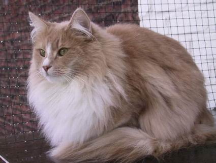 copyright: Rene Weissbach