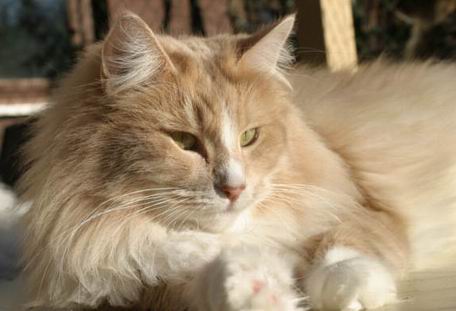 copyright: Rene Weissbach