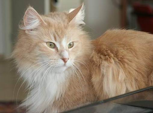 copyright: Rene Weissbach