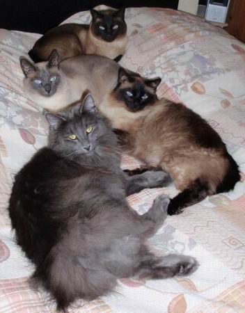 copyright: Lars & Anja