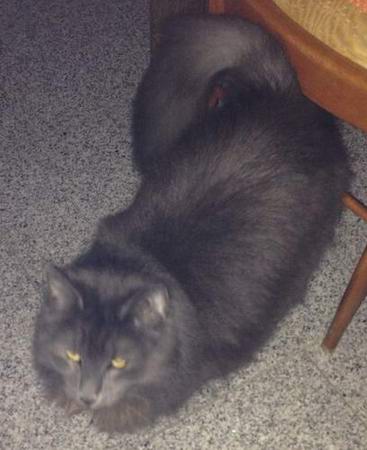 copyright: Lars & Anja