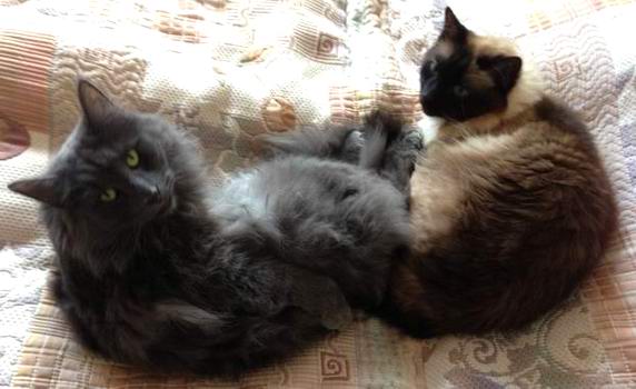 copyright: Lars & Anja