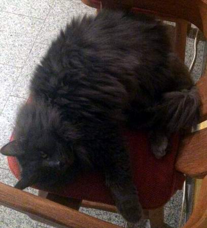 copyright: Lars & Anja