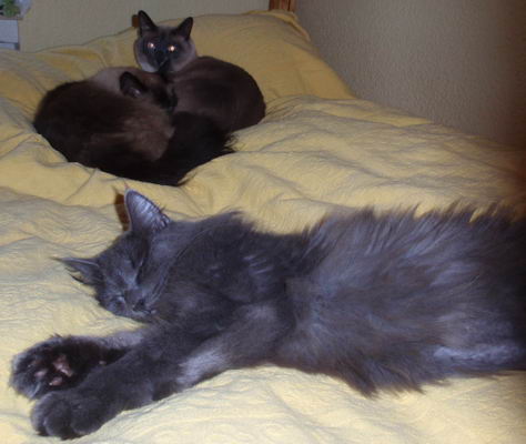 copyright: Lars & Anja