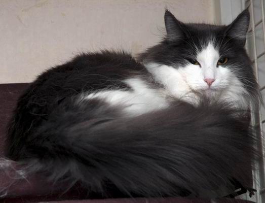 copyright: Gary Chan