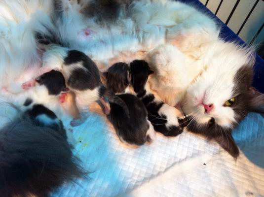 copyright: Gary Chan