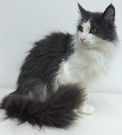 copyright: Gary Chan