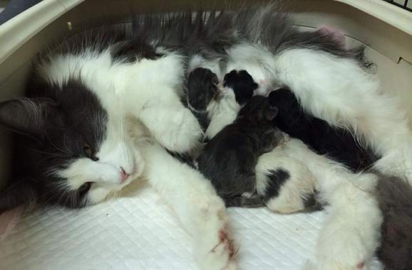 copyright: Gary Chan