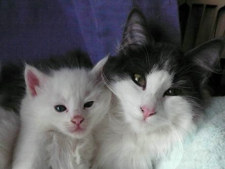 copyright: Delia Roca