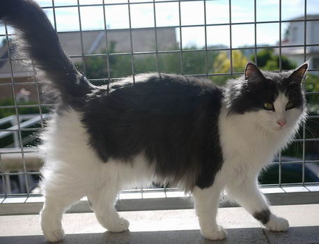 copyright: Delia Roca