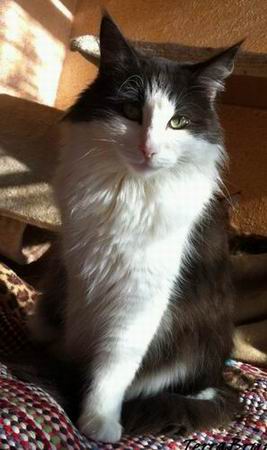 copyright: Delia Roca