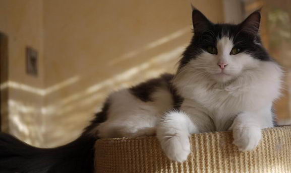 copyright: Delia Roca