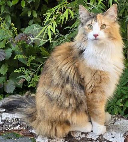 Namira - 1 year + 2,5 months old