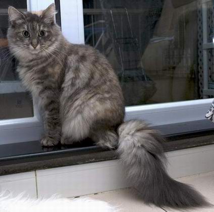 copyright: Gary Chan