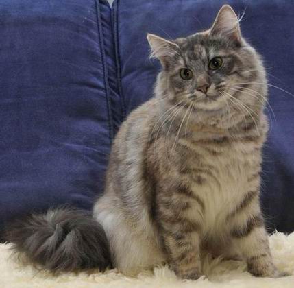 copyright: Gary Chan