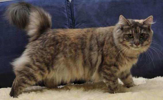 copyright: Gary Chan