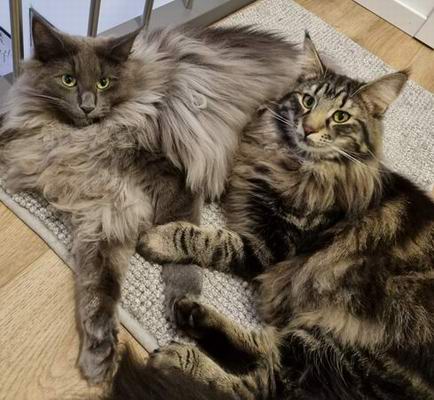 copyright: Sarah & Sascha