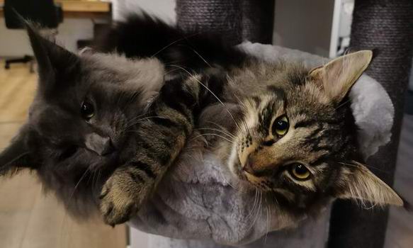 copyright: Sarah & Sascha