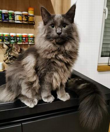 copyright: Sarah & Sascha