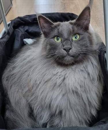 copyright: Sarah & Sascha