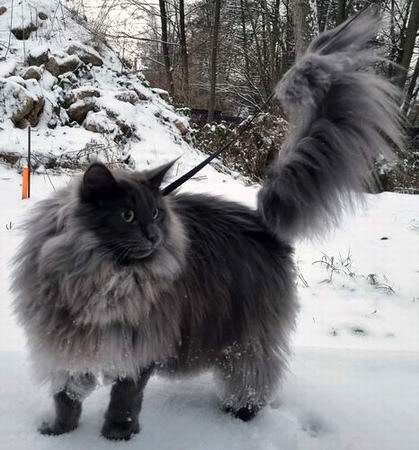 copyright: Sarah & Sascha