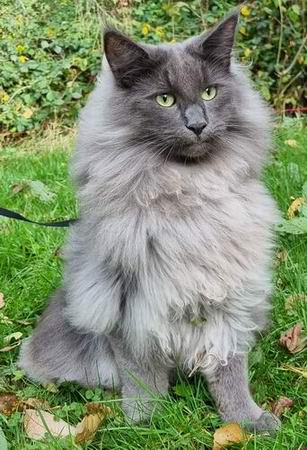 copyright: Sarah & Sascha