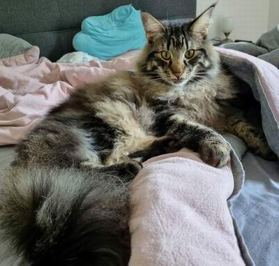 copyright: Sarah & Sascha