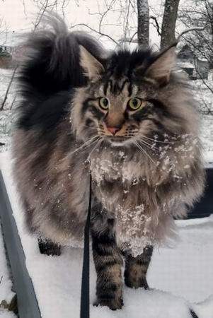 copyright: Sarah & Sascha