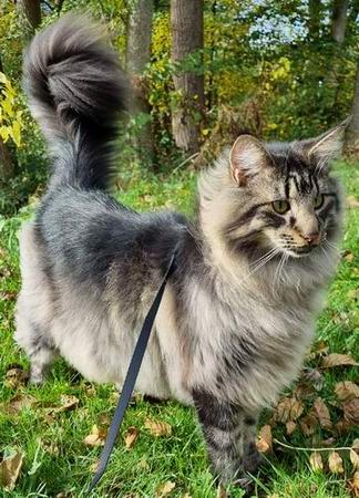 copyright: Sarah & Sascha