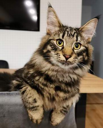 copyright: Sarah & Sascha