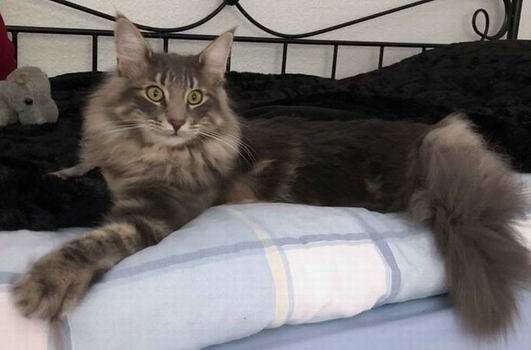 copyright: Familie Menzel