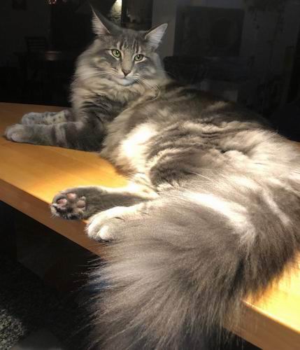 copyright: Familie Menzel