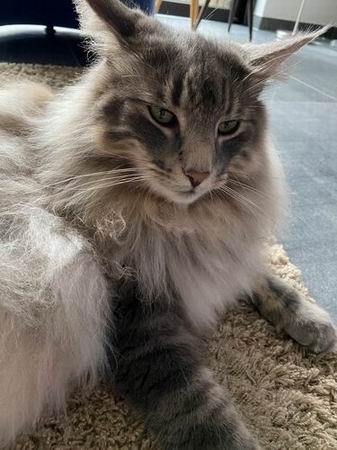 copyright: Familie Menzel