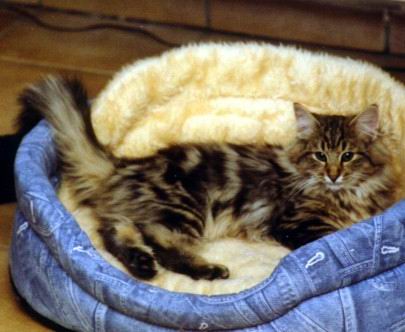 copyright: Fam. Thiel