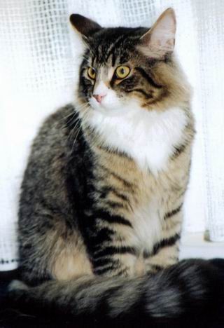 copyright: Fam. Nothbaum