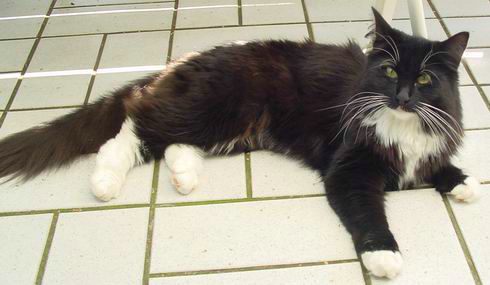 copyright: Fam. Kern