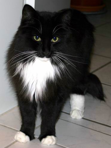 copyright: Fam. Kern