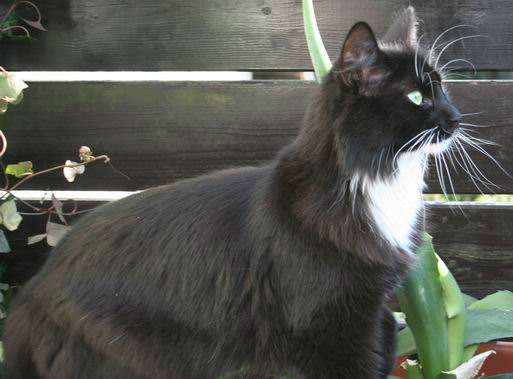 copyright: Fam. Kern