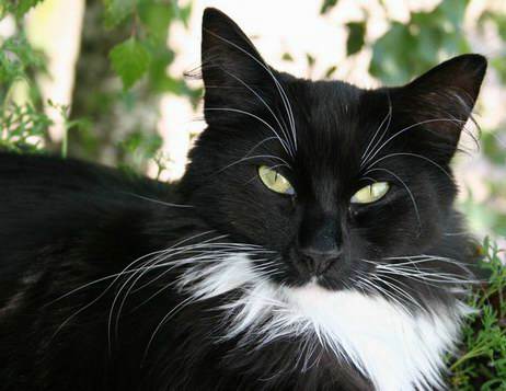 copyright: Fam. Kern