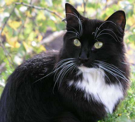 copyright: Fam. Kern