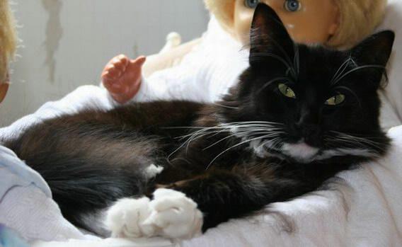 copyright: Fam. Kern