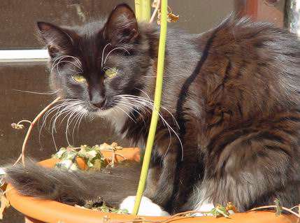 copyright: Fam. Kern