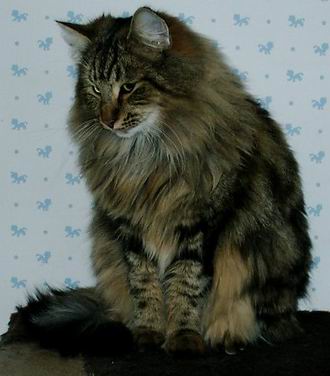 copyright: Fam. Thiel