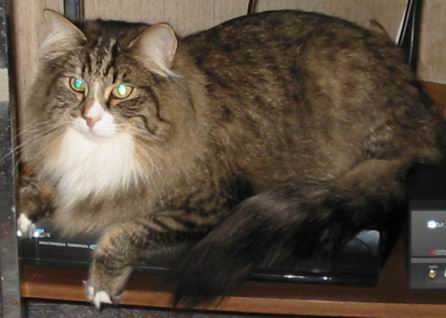 copyright: Fam. Nothbaum