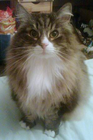 copyright: Fam. Nothbaum