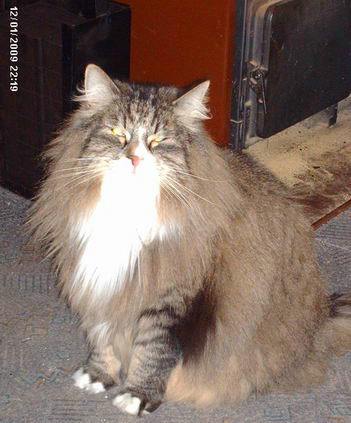 copyright: Fam. Nothbaum