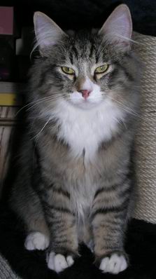 copyright: Fam. Nothbaum